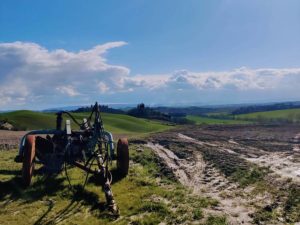 crete senesi landscape 1 Mindfulness in Monteaperti