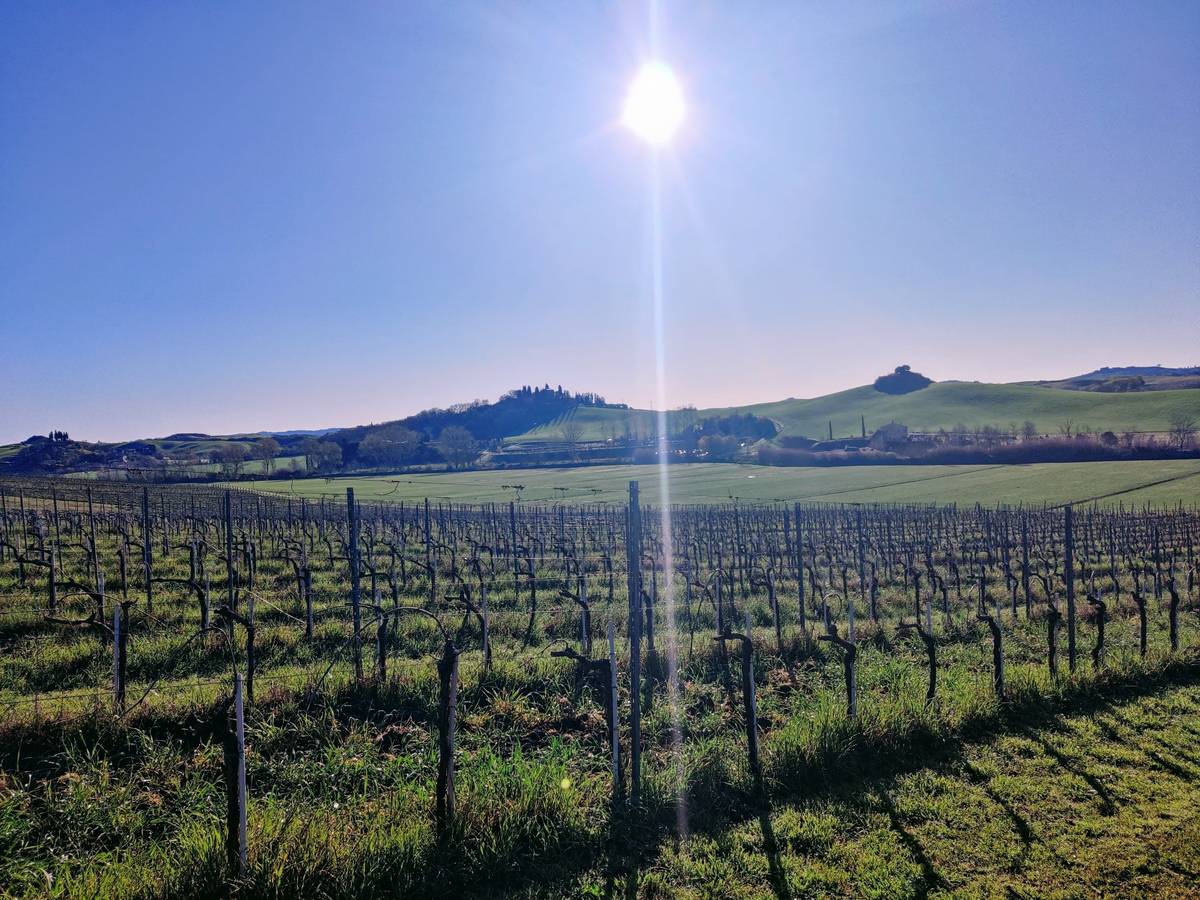 crete senesi landscape 2 Legends of Certosa di Pontignano