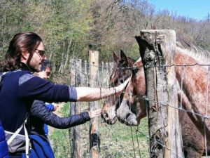 horse nature tuscany Legends of Certosa di Pontignano