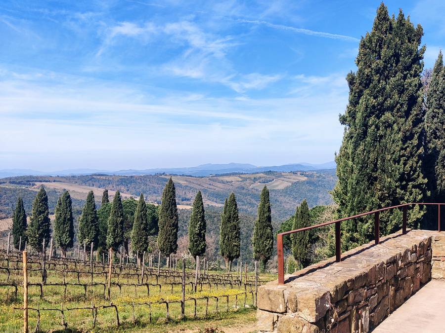 montalcino landscape 3 The Wild Montalcino