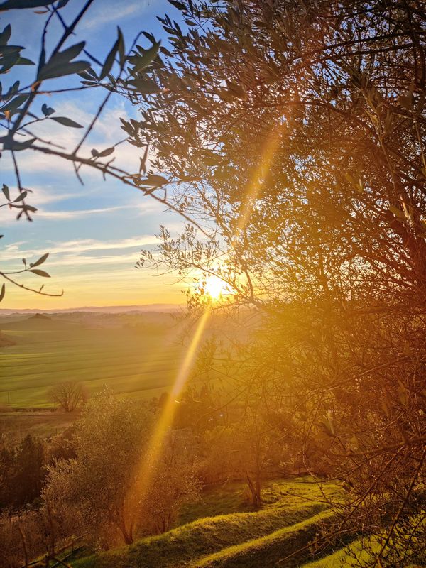 sunset landscape monteaperti Mindfulness in Monteaperti