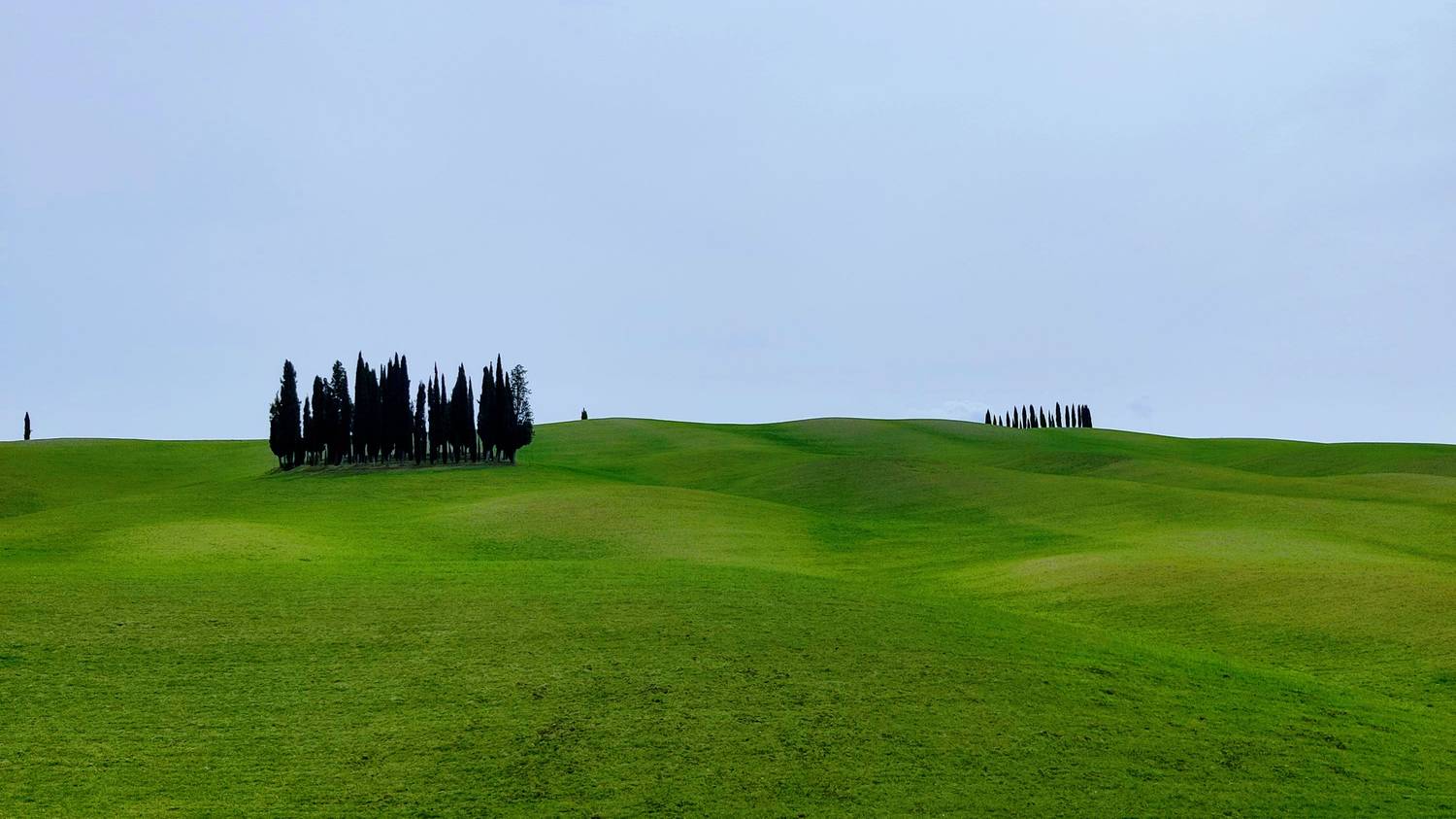 val dorcia cypress woods Legends of Certosa di Pontignano